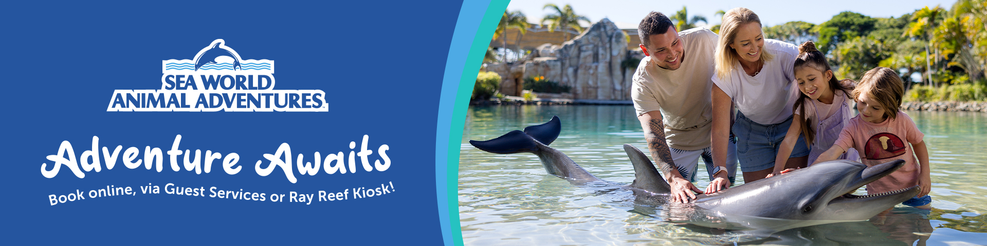 A family of four interacts with a dolphin in a shallow pool at Sea World Animal Adventures under sunny skies.