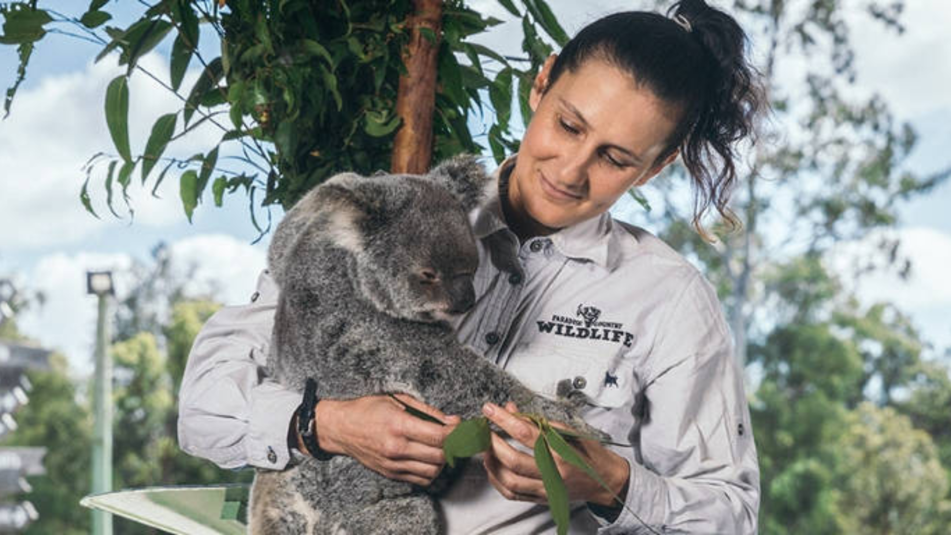 Village Roadshow Theme Parks