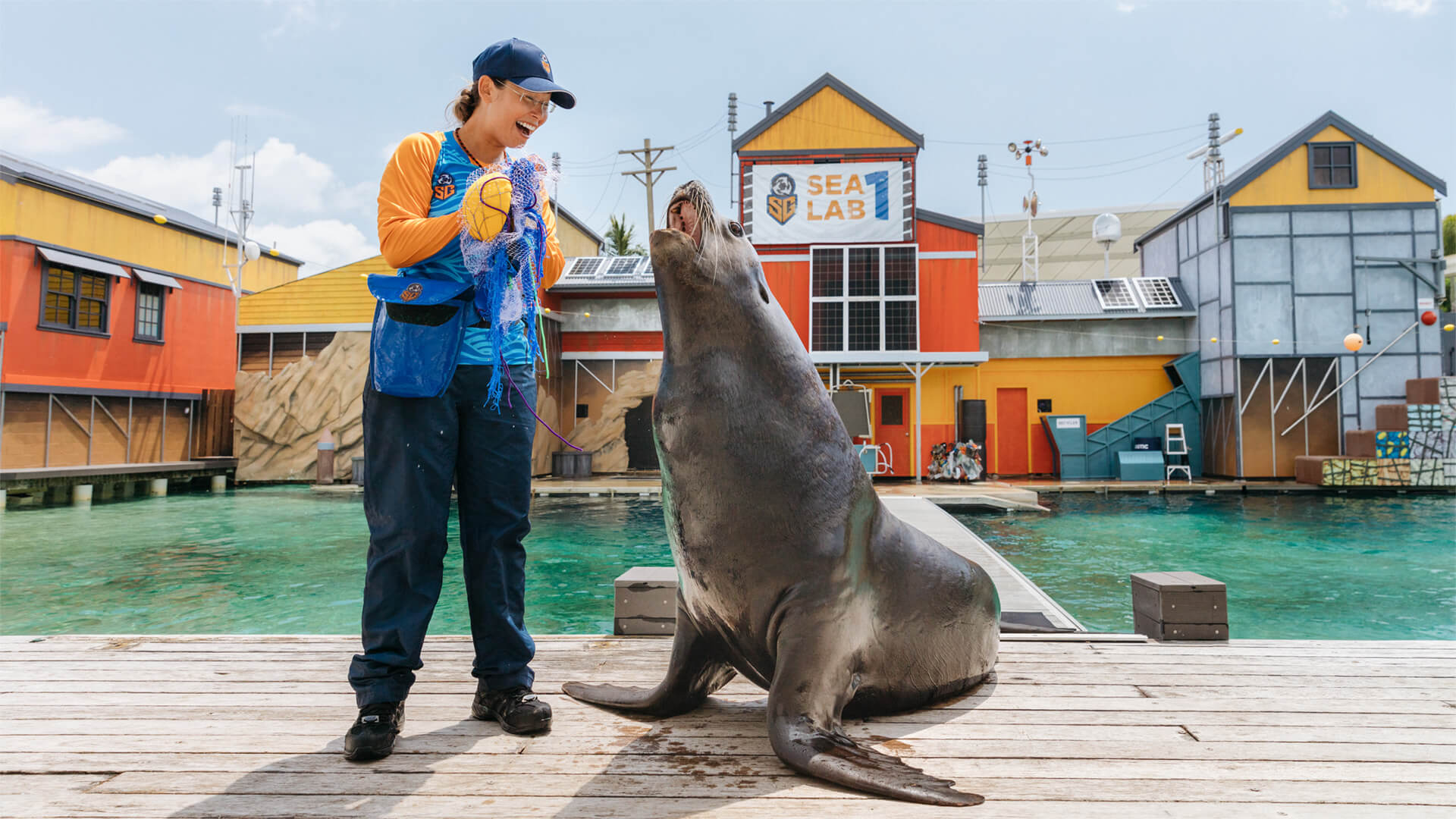 A trainer stands on a dock feeding a sea lion in front of colorful buildings labeled "Sea Lab" by an outdoor pool.