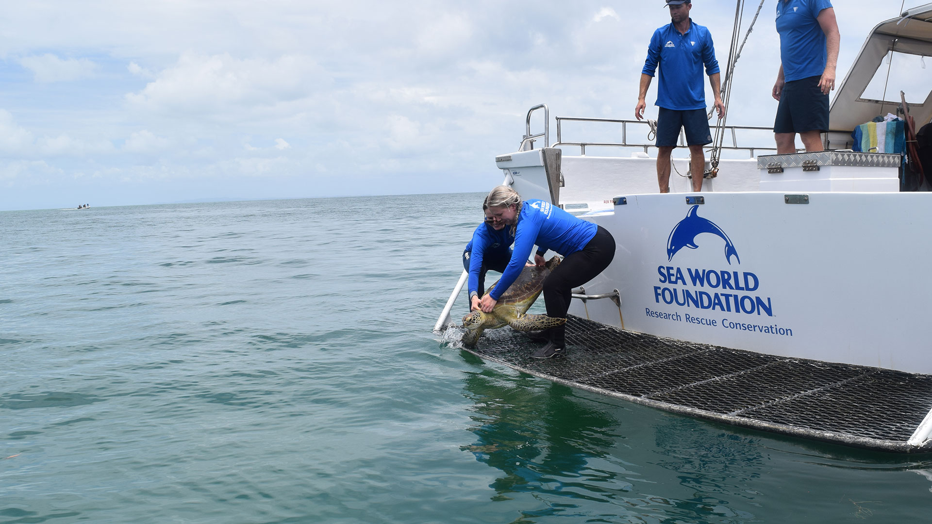 People on a boat release a sea turtle into the ocean, with "Sea World Foundation" visible on the side.