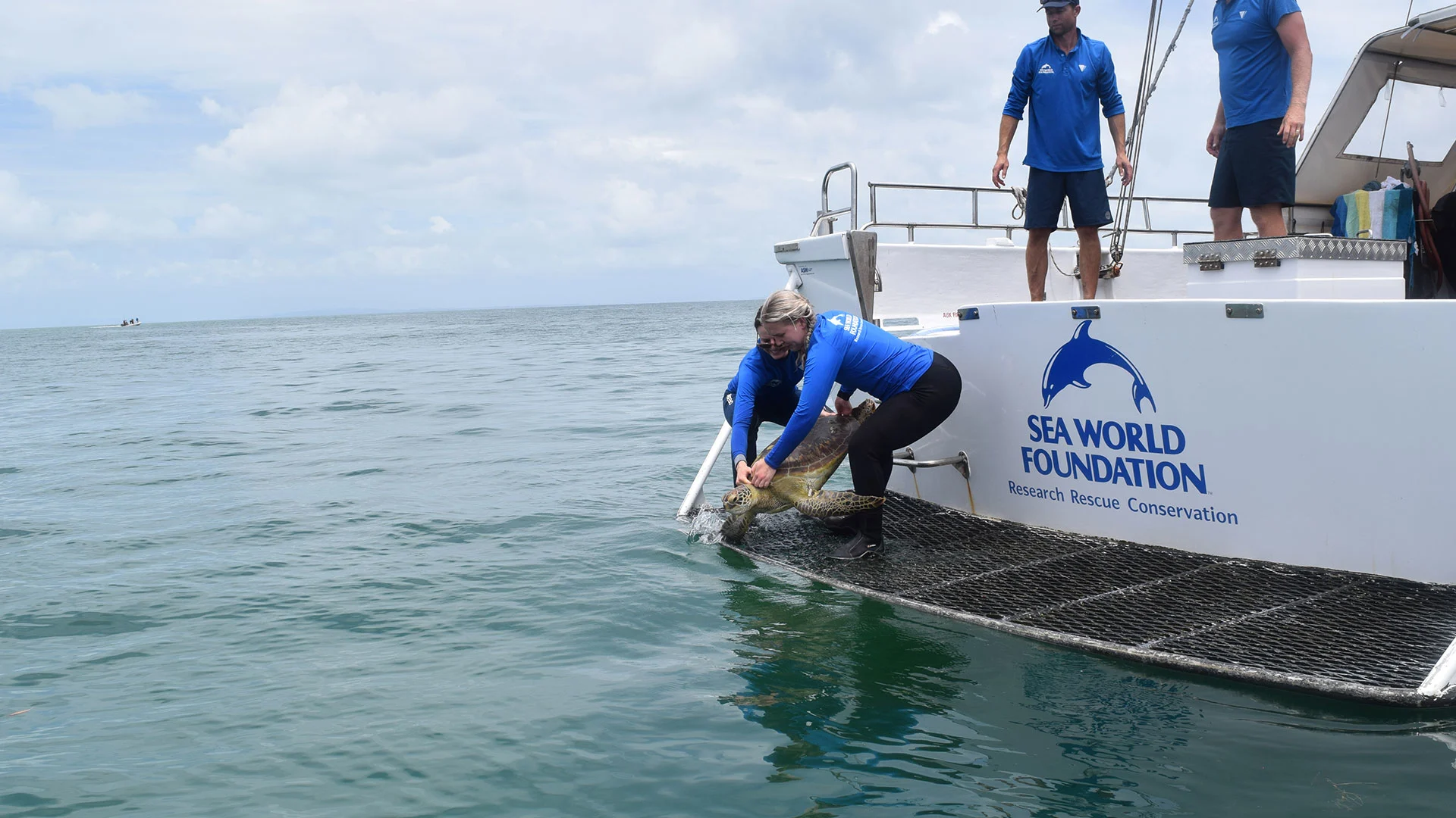 People on a boat release a sea turtle into the ocean, with "Sea World Foundation" visible on the side.