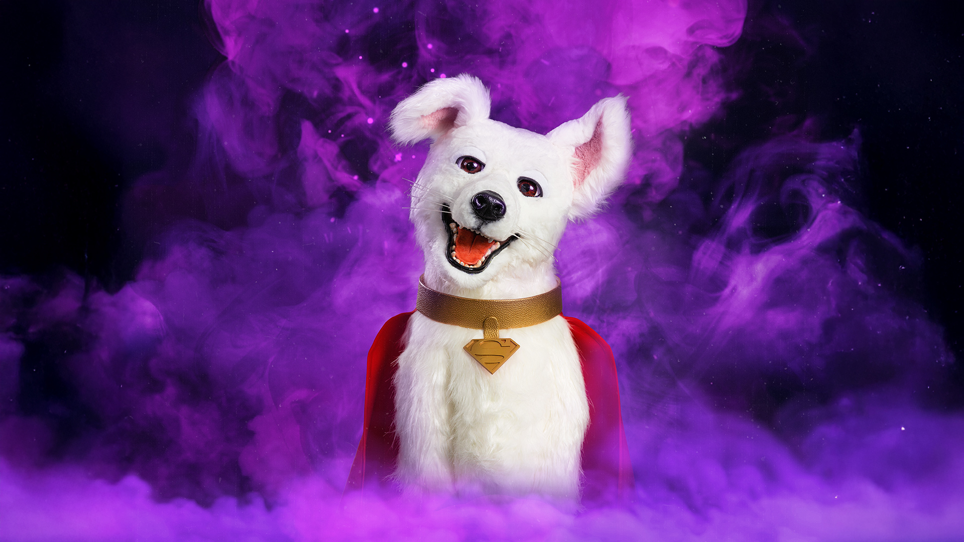 A white dog wearing a brown collar with a gold tag sits against a backdrop of swirling purple smoke, looking forward with its mouth open as if smiling.