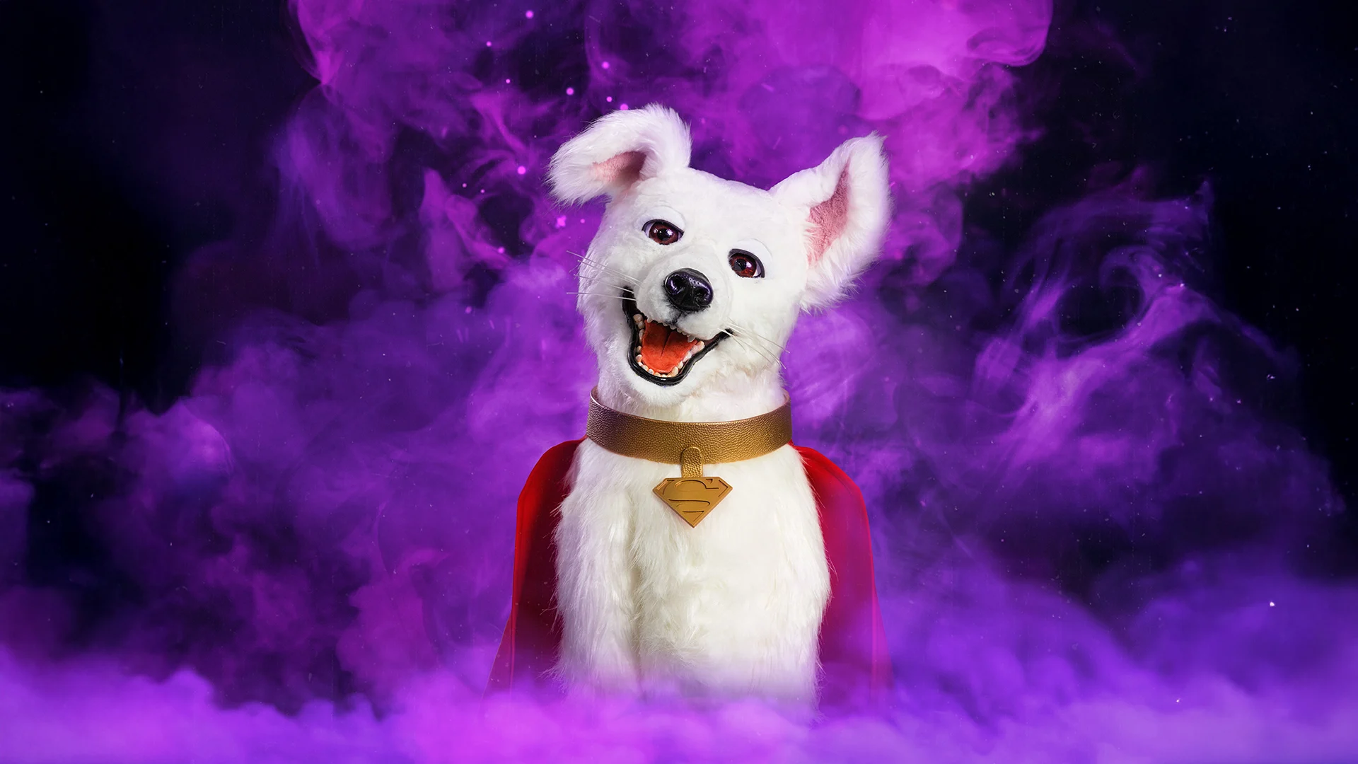 A white dog wearing a brown collar with a gold tag sits against a backdrop of swirling purple smoke, looking forward with its mouth open as if smiling.