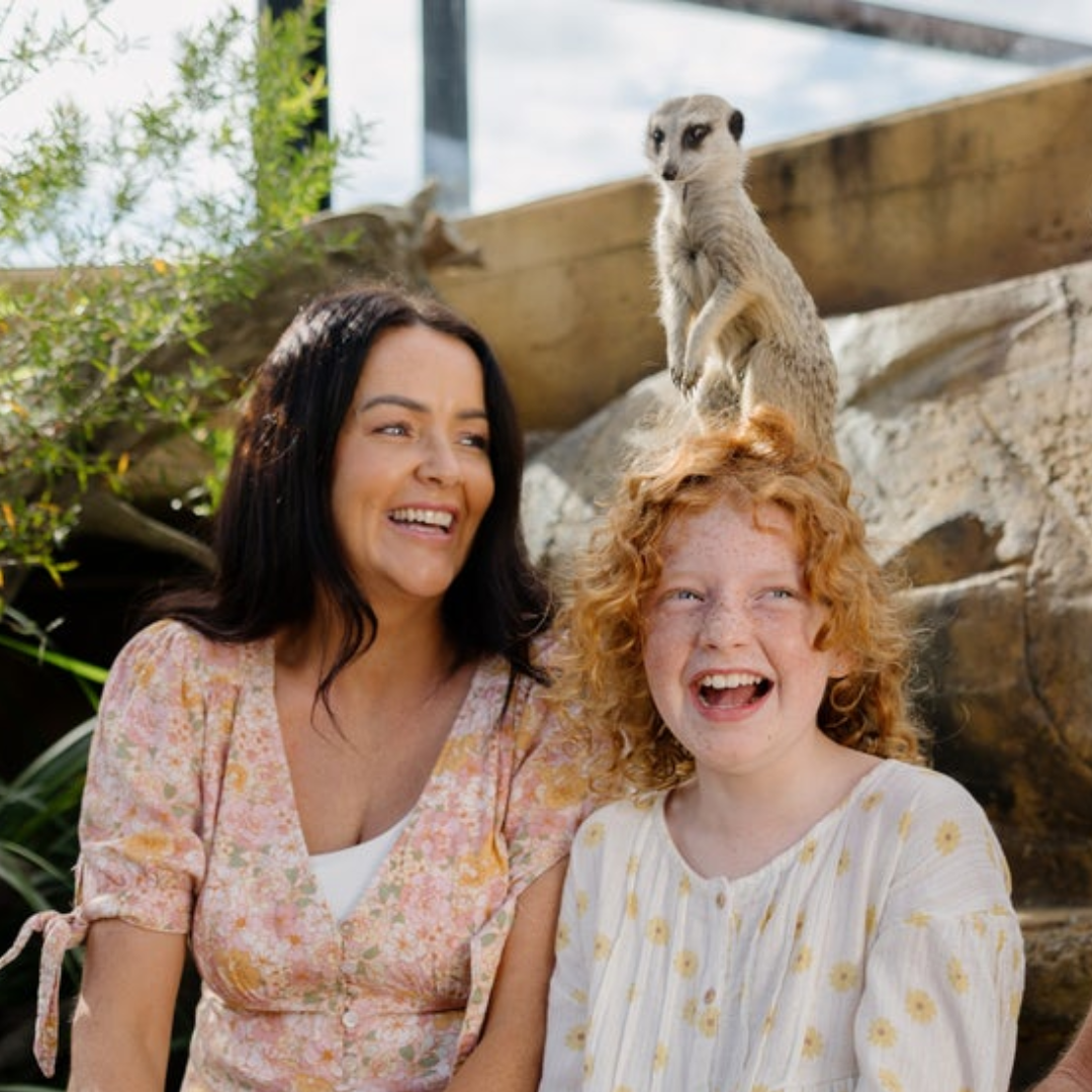 Two people, a woman and a child with curly red hair, are smiling and laughing outdoors. A meerkat is perched on a rock directly behind them, appearing to sit on the child’s head. The scene is bright and cheerful.