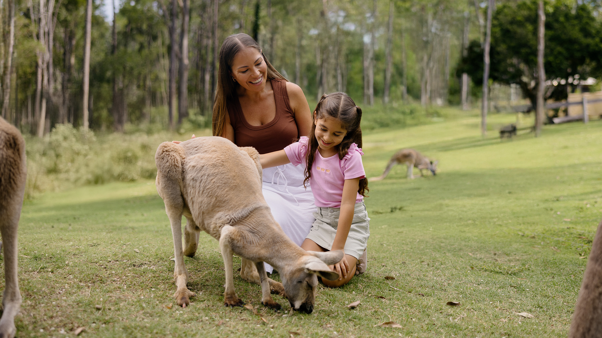 A woman and a young girl smile while petting a sheep that is grazing on grass in a sunny, green outdoor setting with trees in the background.