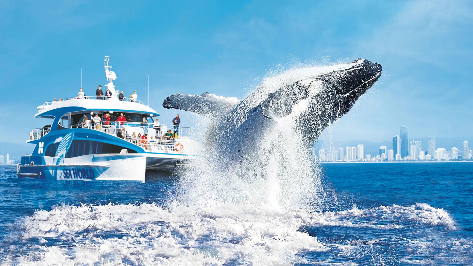 Whale breaching near a boat with people observing, against the Gold Coast city skyline backdrop.