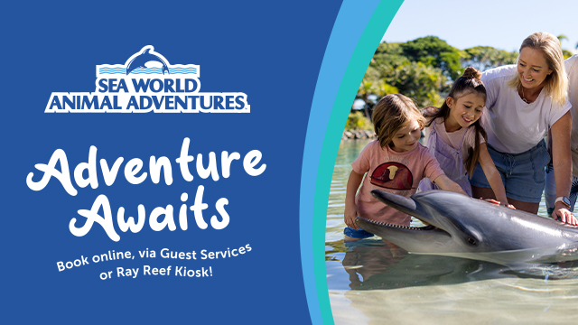 A woman and two children interact with a dolphin in shallow water at Sea World Animal Adventures, with promotional text about booking online or at a kiosk.