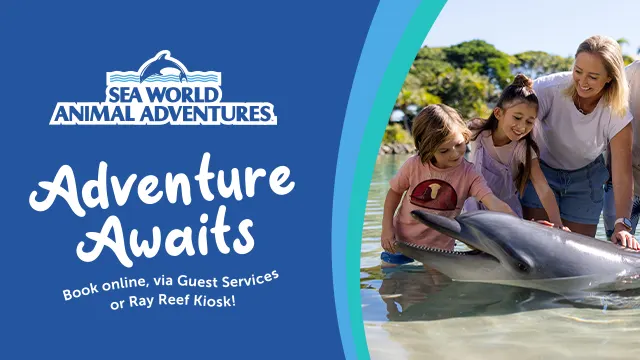 A woman and two children interact with a dolphin in shallow water at Sea World Animal Adventures, with promotional text about booking online or at a kiosk.