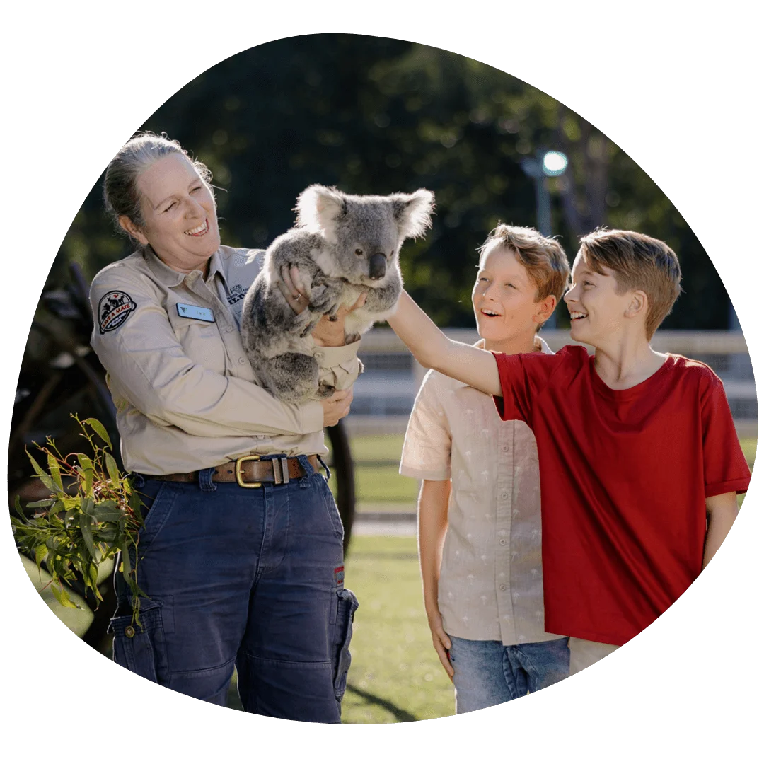 Zookeeper holding a koala while two boys pet it, standing in an outdoor setting with trees in the background.