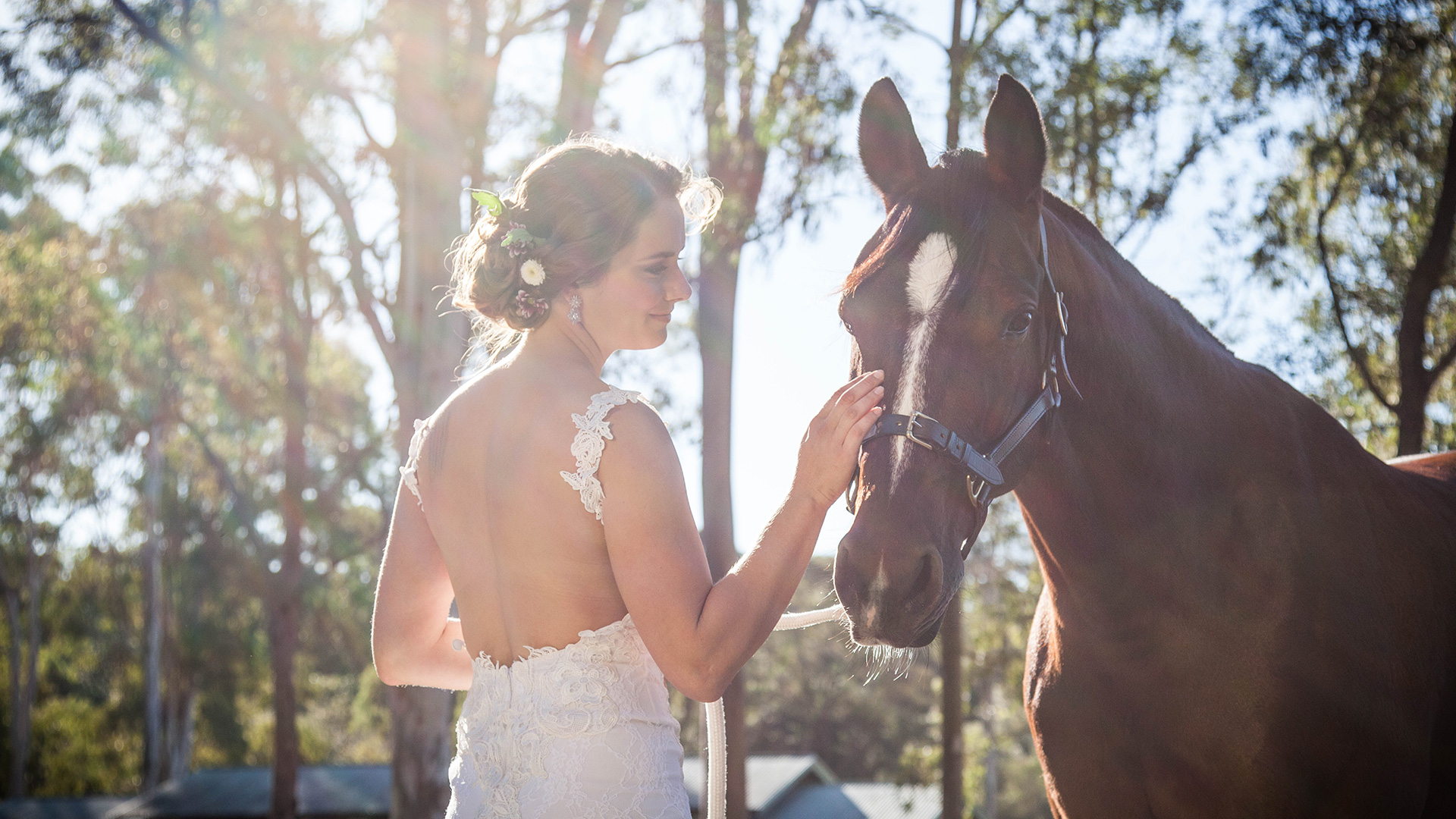 Bride is smiling and patting a brown horse at Paradise Country.