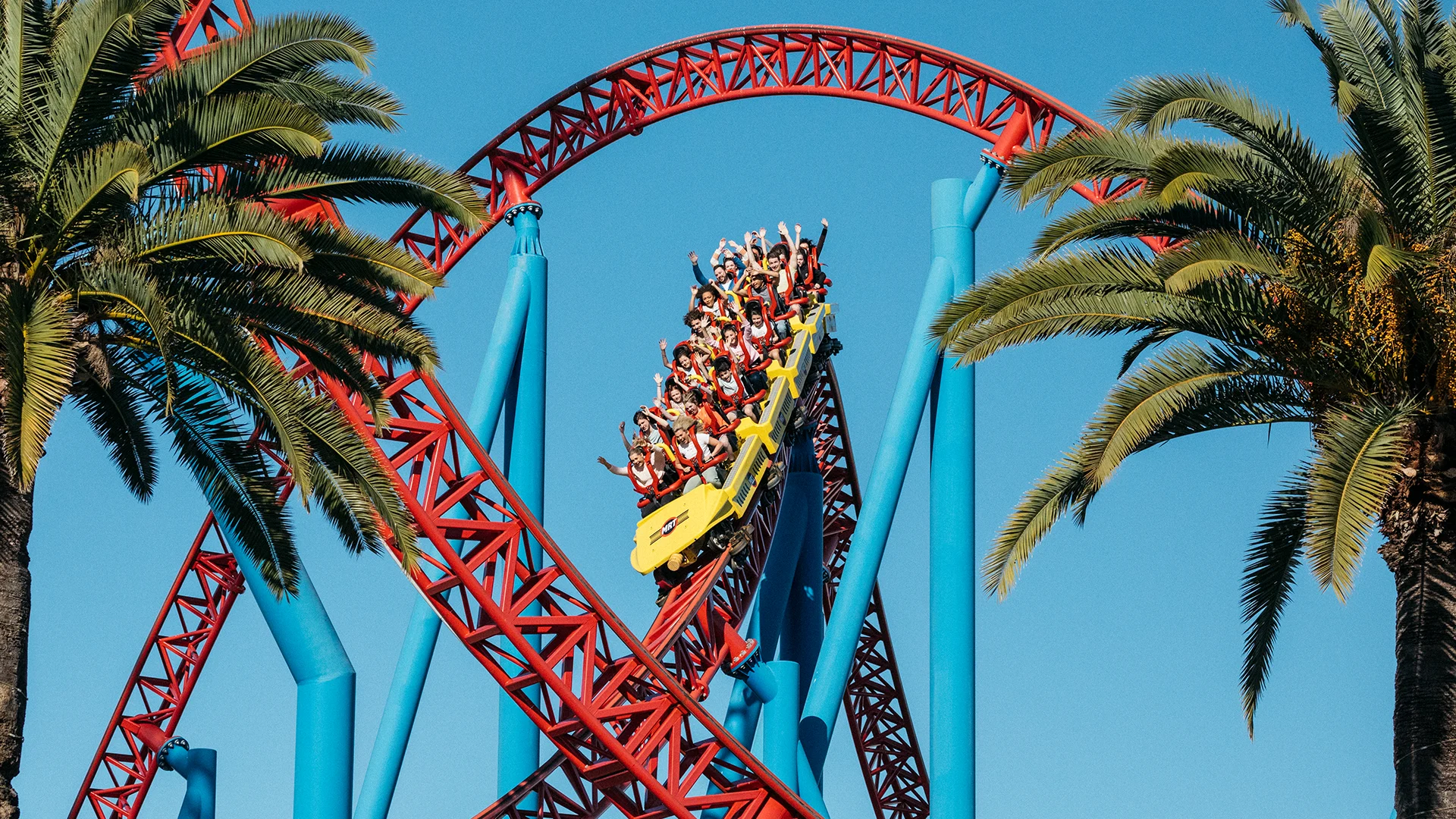 People riding a roller coaster with red tracks and blue supports, surrounded by palm trees under a clear blue sky.