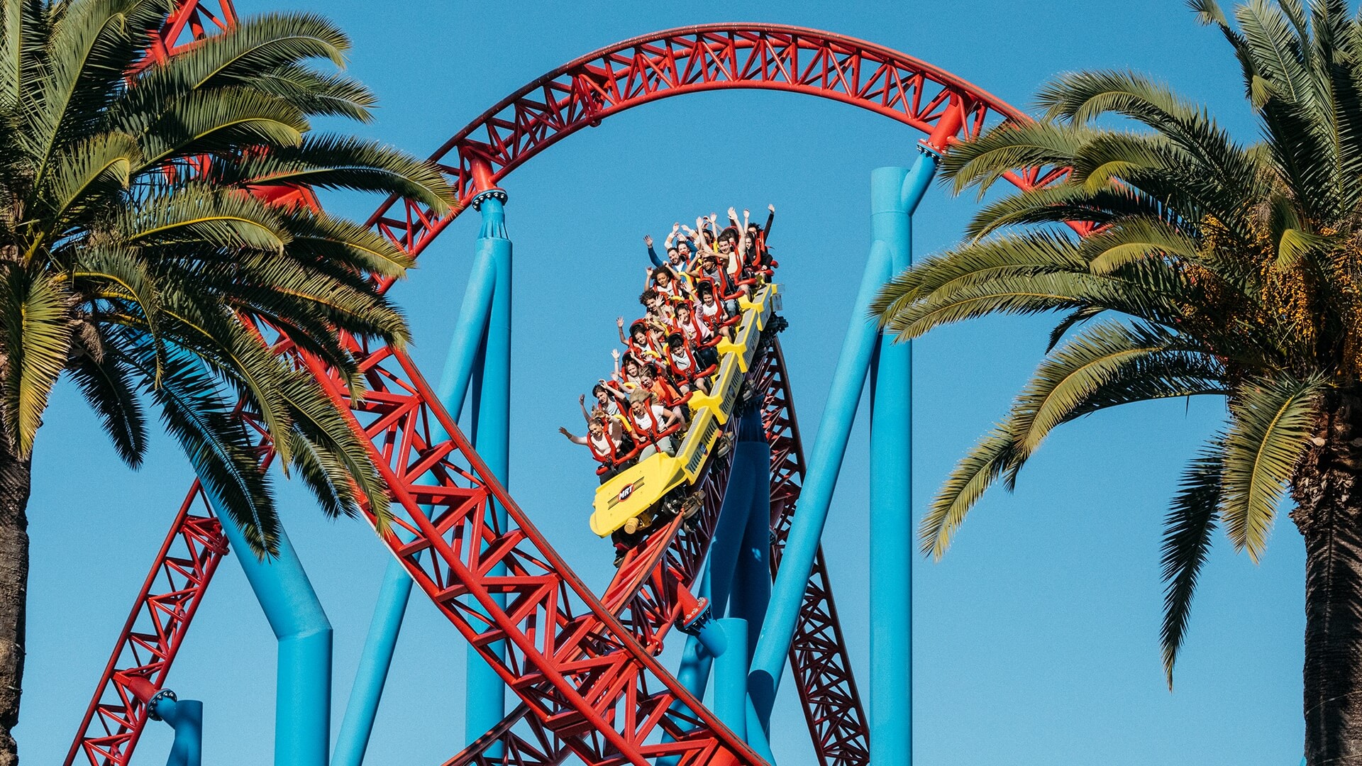 People riding a roller coaster with red tracks and blue supports, surrounded by palm trees under a clear blue sky.