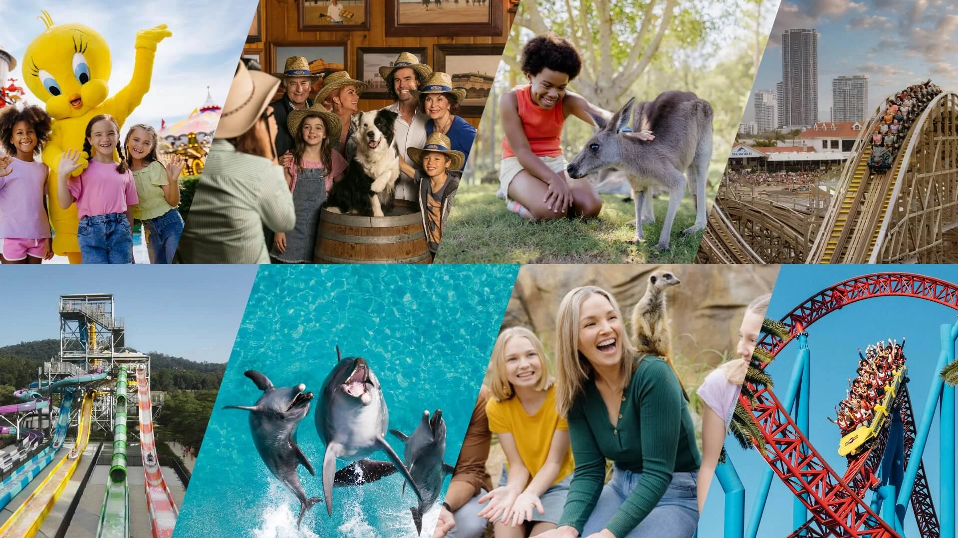 Collage of various activities across Village Roadshow Theme Parks venues: children with Tweety Bird, group posing for a photo with a dog, person petting a kangaroo, roller coaster, water slide, dolphins leaping out of the water, family laughing with meerkat sitting on their shoulders, and a red roller coaster loop.