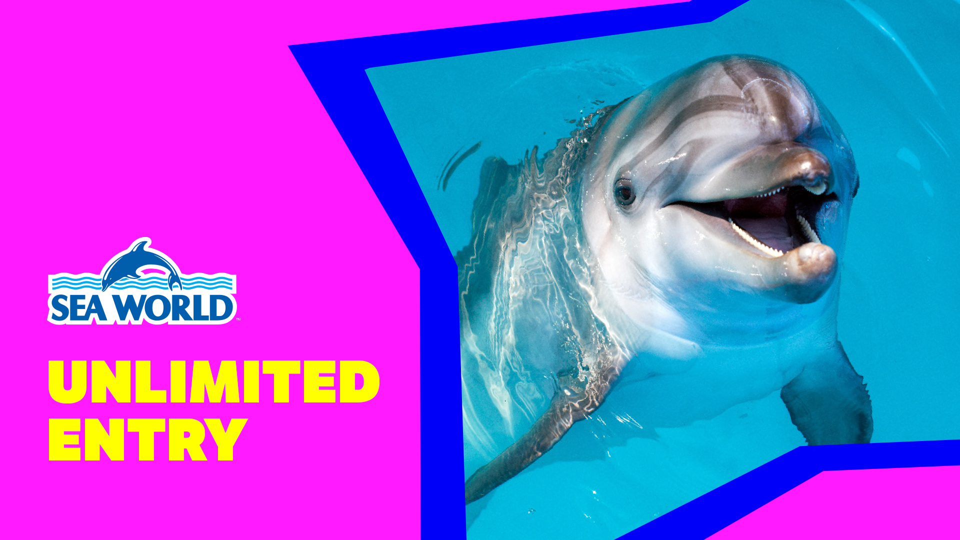 A graphic showing unlimited entry to Sea World with an image of a dolphin