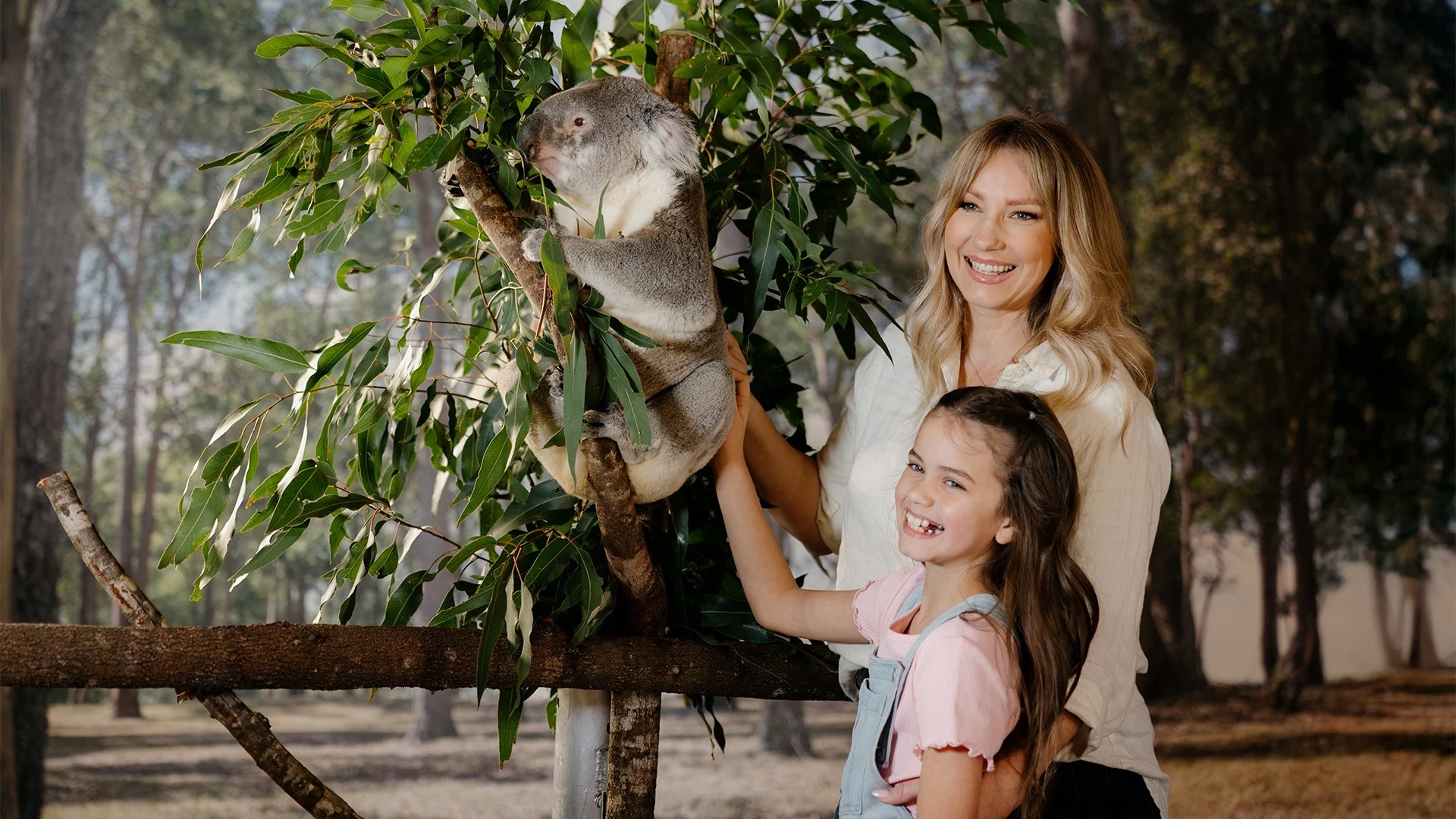 A woman and a young girl smiling and standing next to a koala sitting in a eucalyptus tree, outdoors in a wooded area.