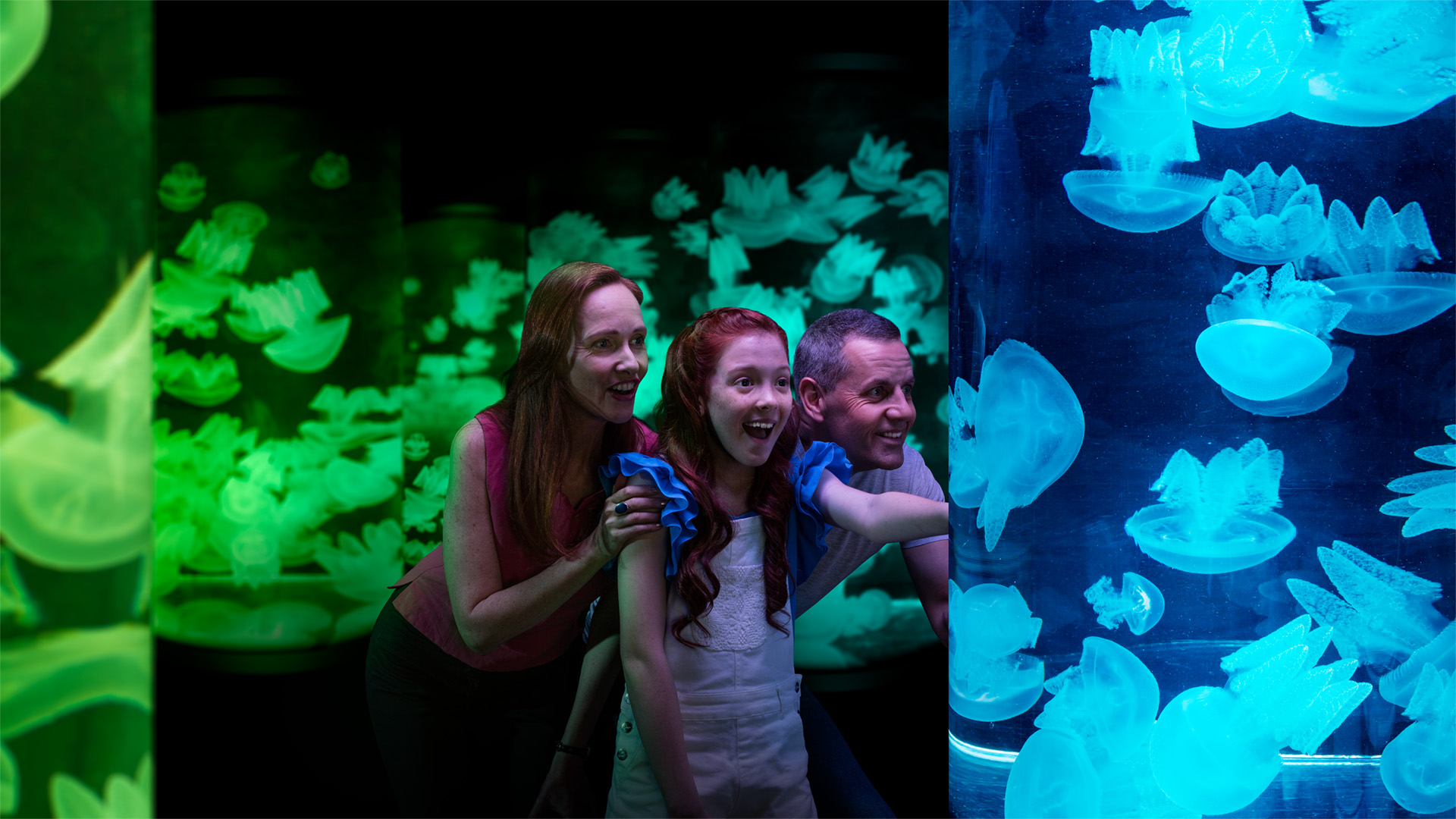 A family of three watches glowing jellyfish in a large aquarium tank with blue and green lighting.