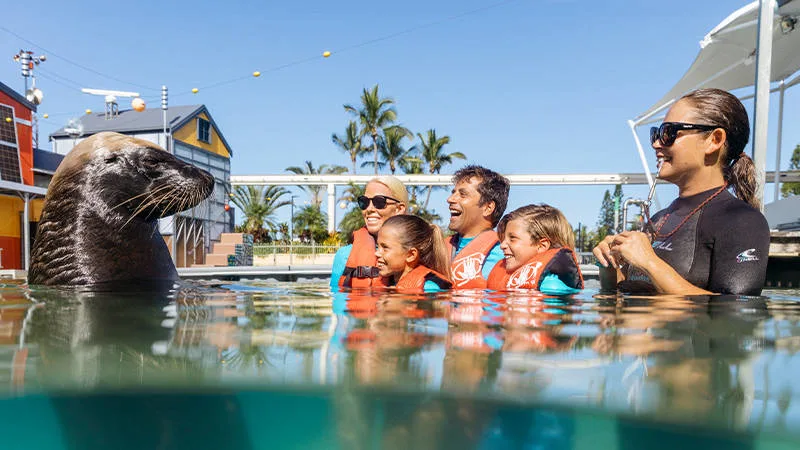 Seal Aqua Adventure at Sea World