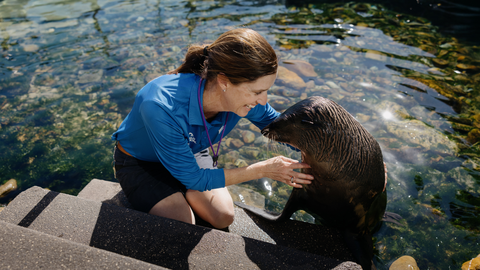 A woman kneels on steps by the water, interacting with a seal that has its flipper on her arm.