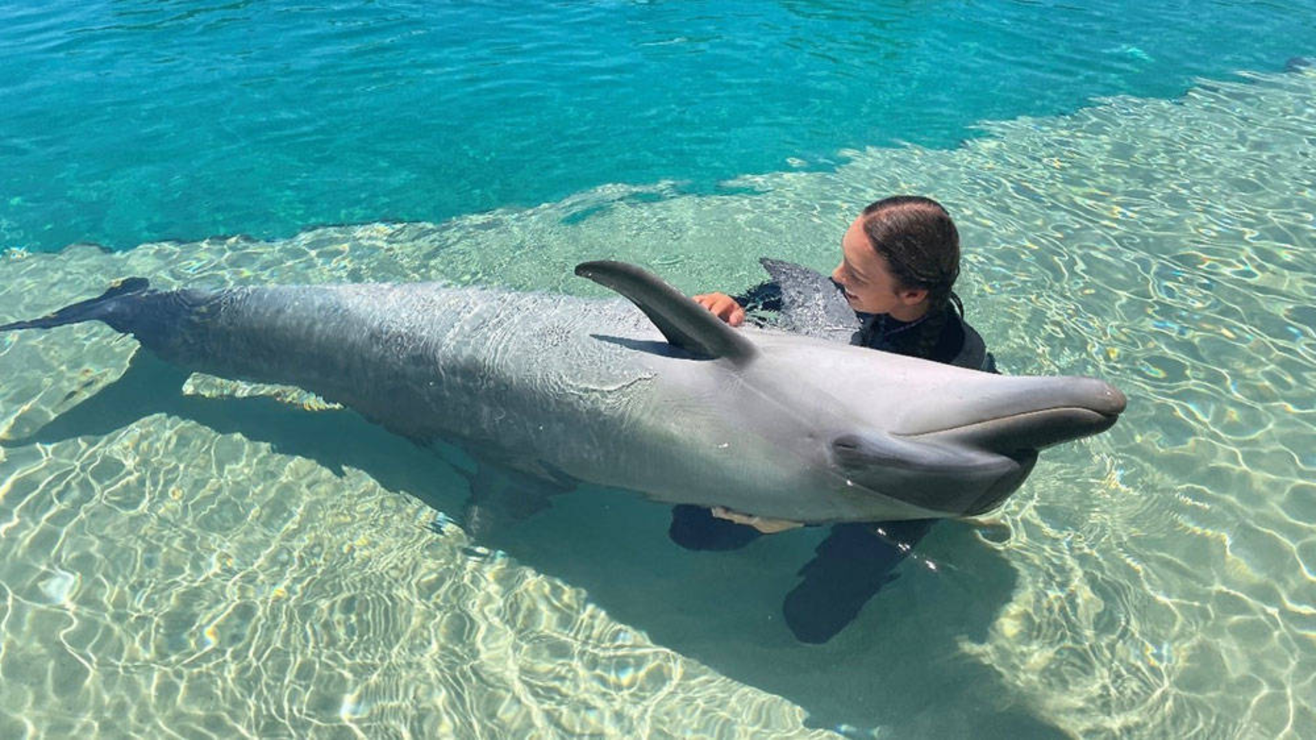A person in the water hugs a dolphin in a shallow area with clear, turquoise water.