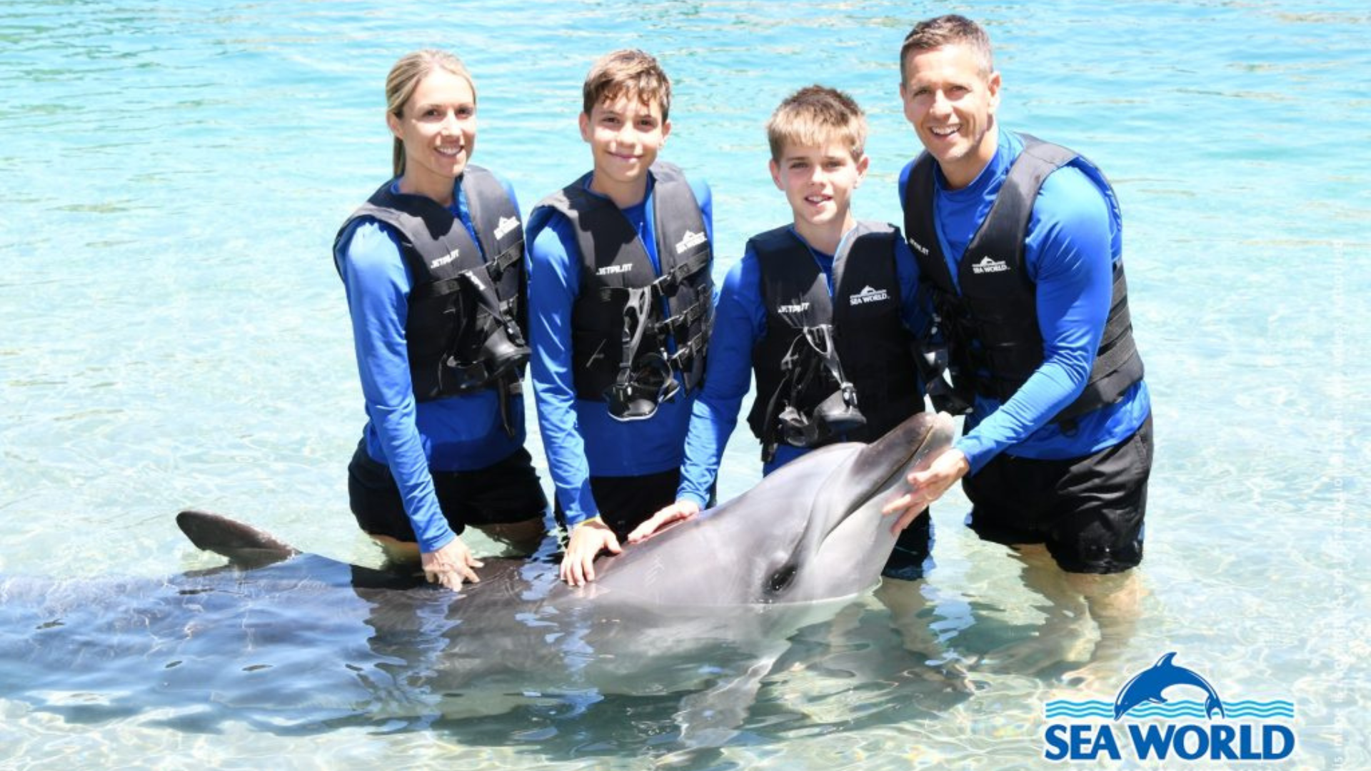 A smiling family of four in blue swim shirts and life vests stands in shallow water, touching a dolphin. The Sea World logo is visible in the bottom right corner.