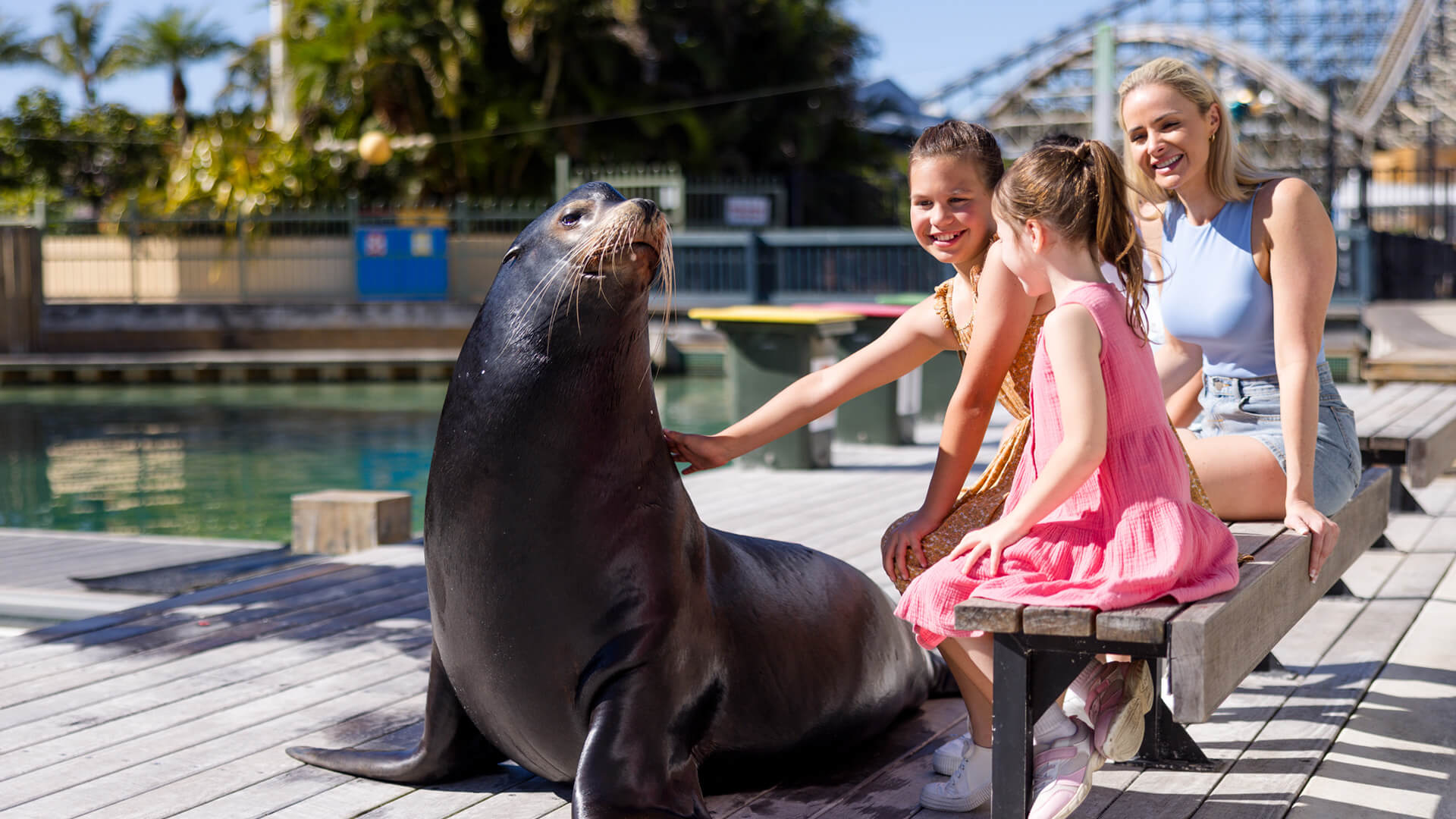Three children and an adult sit on a bench outdoors, smiling and petting a large sea lion at an aquatic park.