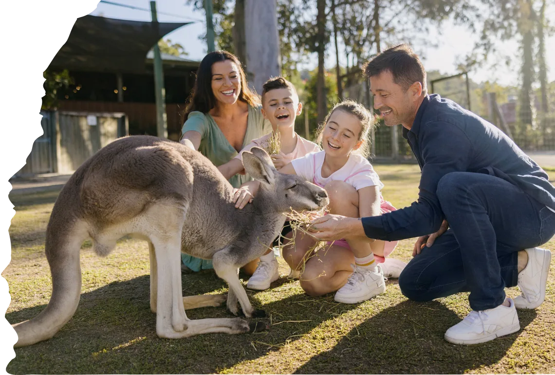 Four people crouch and smile while feeding a kangaroo outdoors on a sunny day at an animal park or zoo.