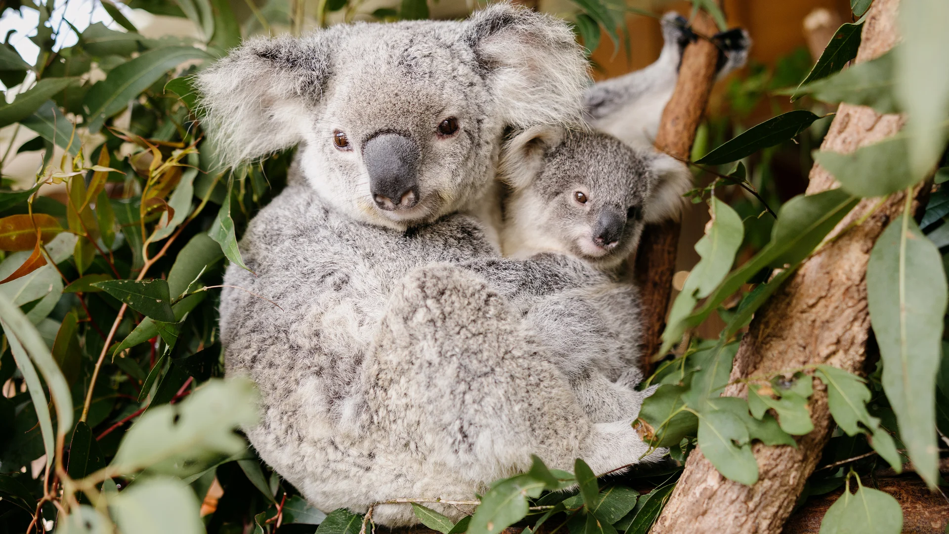 Get up close to adorable baby animals and experience the sweetest springtime encounters for the whole family.