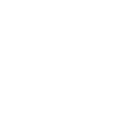 Camera icon white photopass