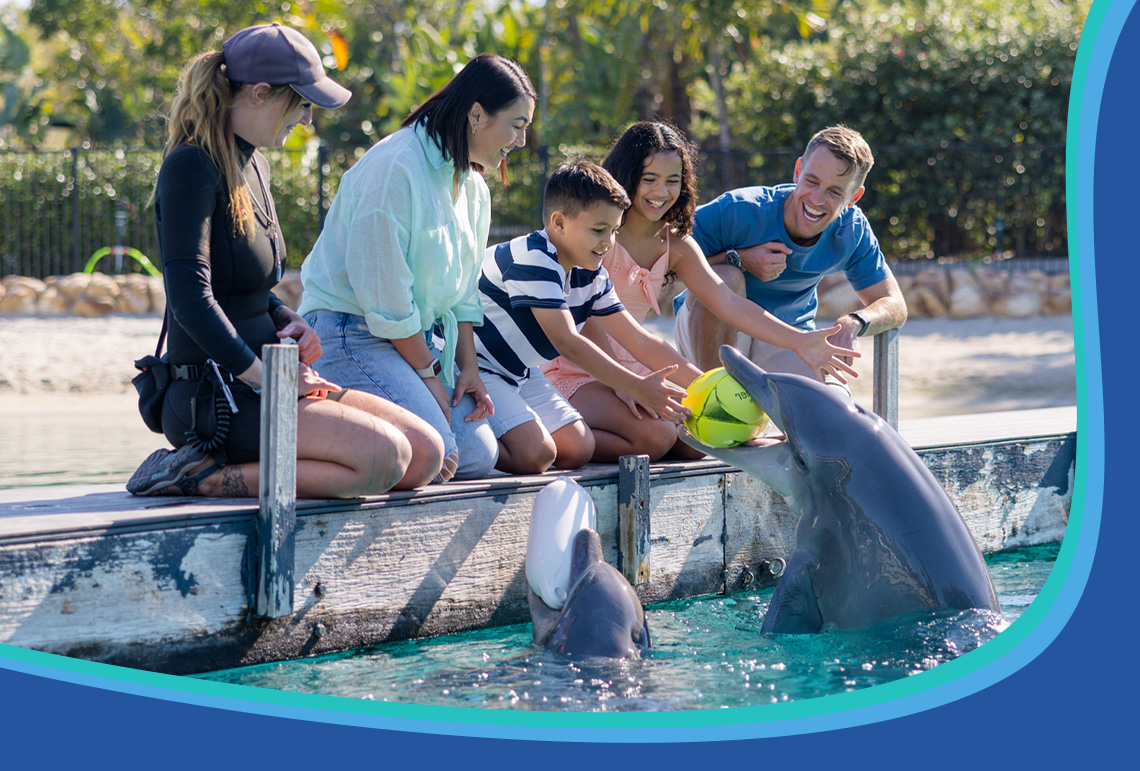 A group of people, including two children and three adults, sit on a dock by the water and interact with two dolphins at a marine park.