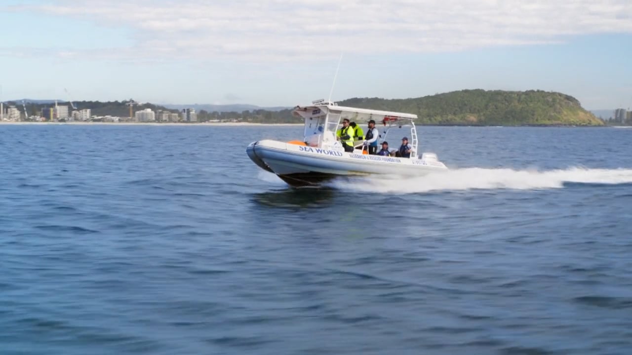A small motorboat with several people onboard moves quickly across calm water with a city and green hill in the background.