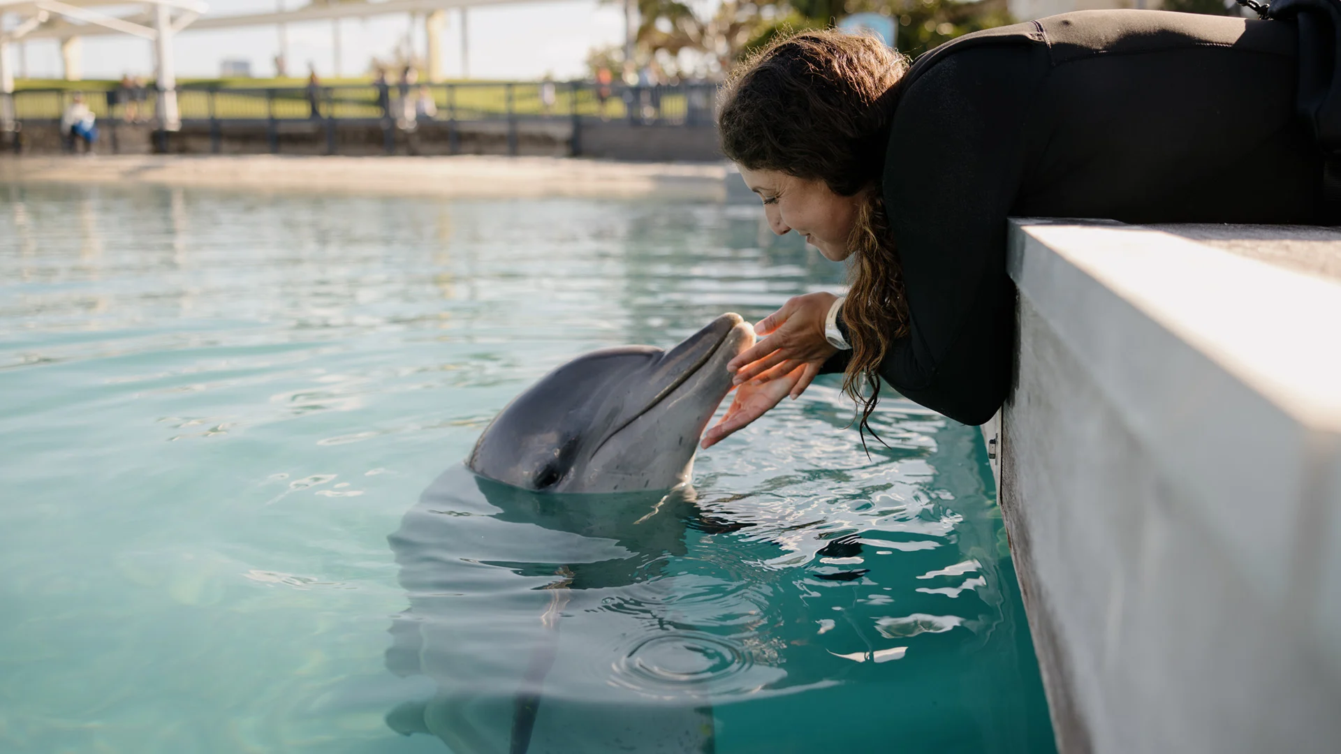 A woman leans over the edge of a pool, gently touching and interacting with a dolphin in the water.