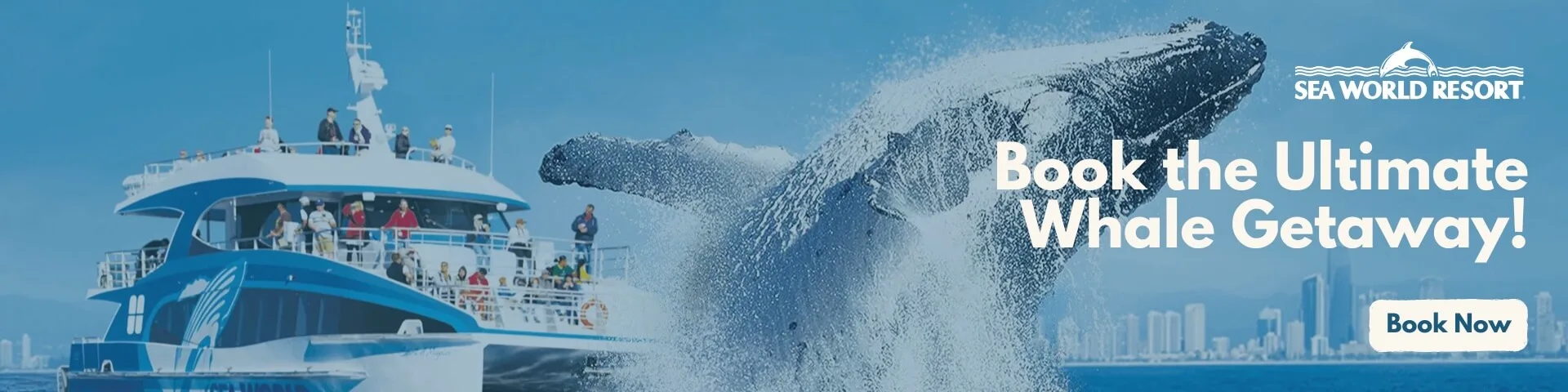 A whale breaches near a tour boat with passengers as part of a Sea World Resort whale watching promotion. Text reads, "Book the Ultimate Whale Getaway! Book Now.