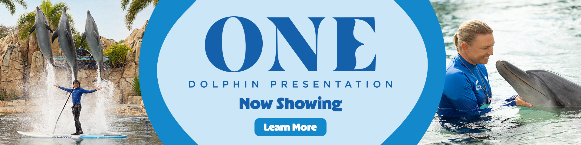 Banner for "ONE Dolphin Presentation" shows two dolphins leaping with a trainer, and a trainer interacting with a dolphin in water. Text reads: "Coming 15 December." A blue "Learn More" button is at the bottom.