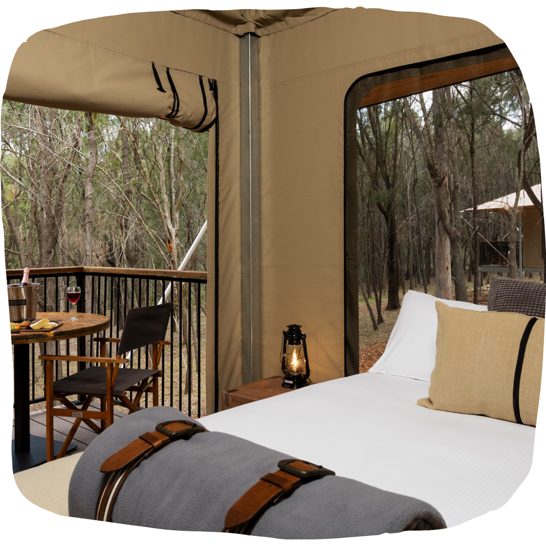 A glamping tent with a neatly made bed, outdoor table and chairs on a deck, lantern, and surrounding forest visible through open sides.