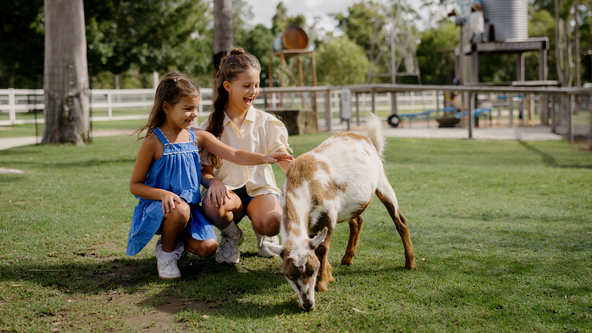 Two young girls kneel on grass, smiling and petting a brown and white goat. A playground and trees are visible in the background on a sunny day.