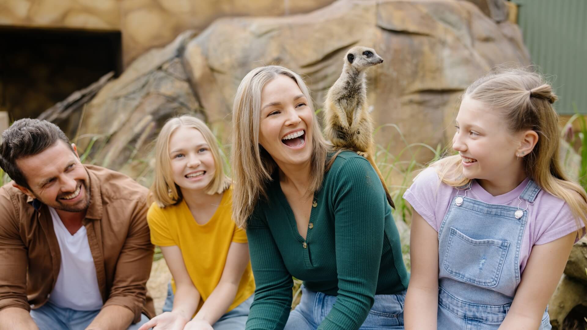 Family smiling and laughing during a meerkat encounter at Paradise Country, with a meerkat perched on a woman’s shoulder.