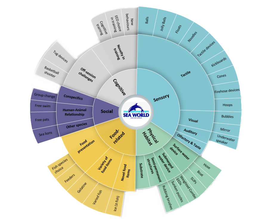 A circular chart with sections labeled 'Social,' 'Cognitive,' 'Sensory,' and 'Physical' surrounding a Sea World logo in the center. Each section contains subcategories with additional details.