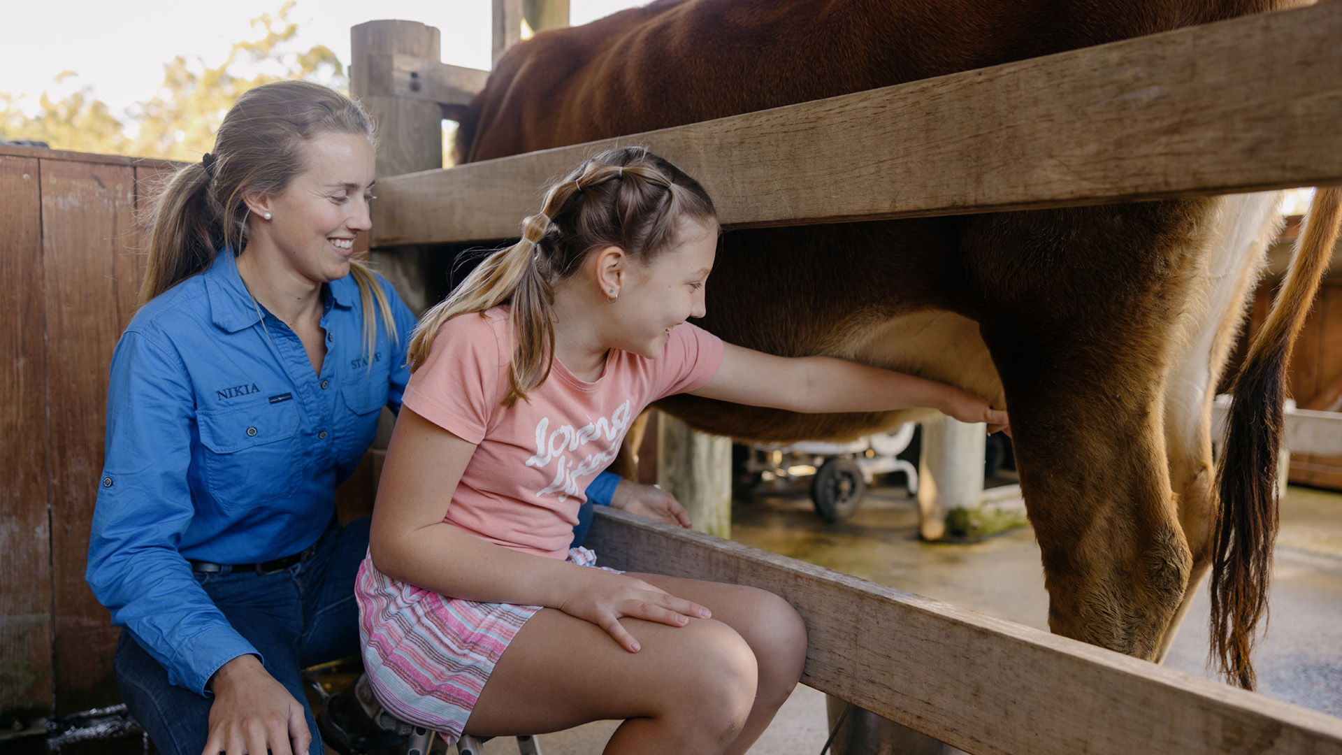 An adult and a child sit next to a cow in a fenced area; the child is reaching out to milk the cow's udder, while the adult observes and smiles.