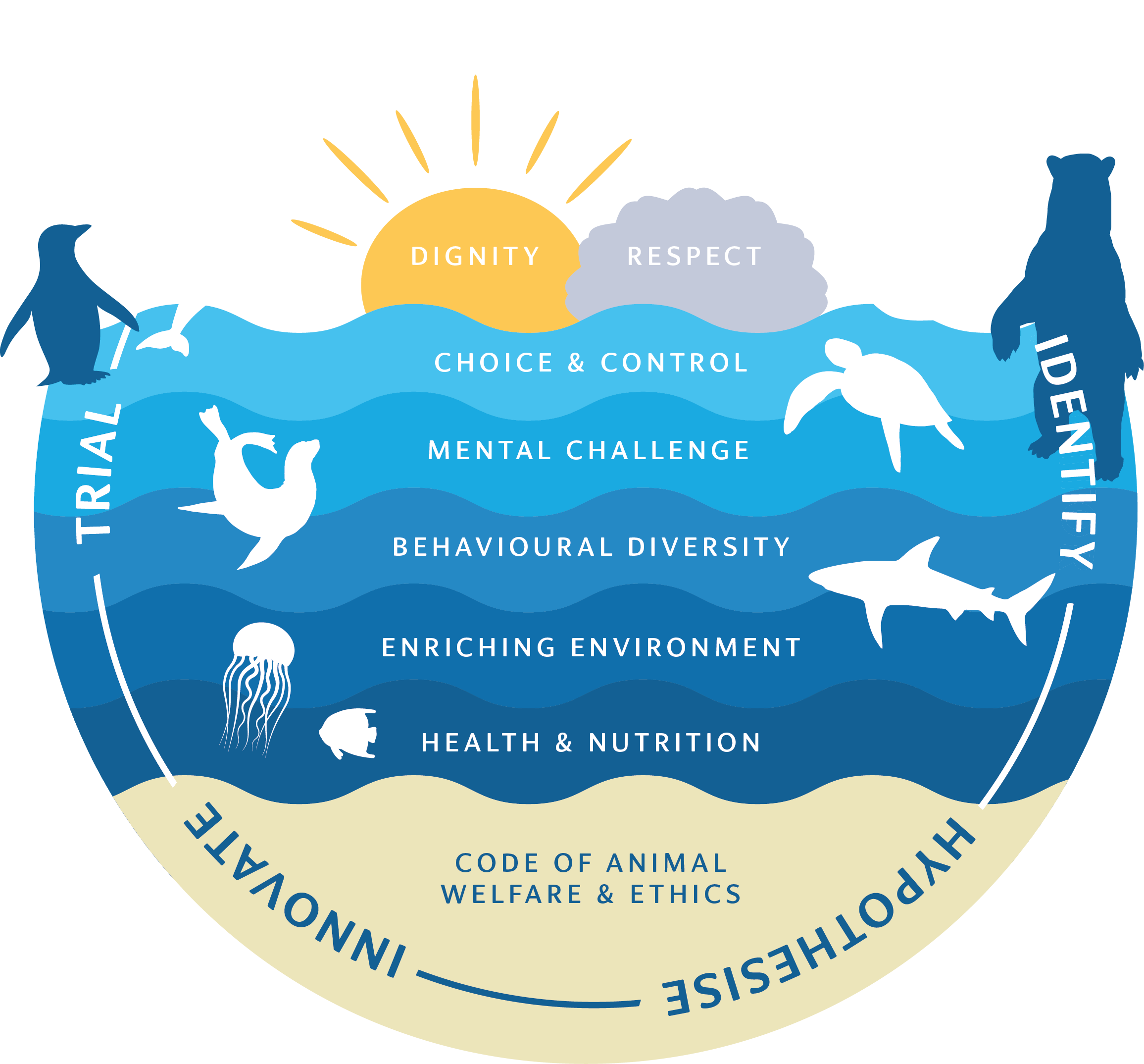 Illustration of an ocean with animals and sun rays showing layers: Dignity, Respect, Choice &amp; Control, Mental Challenge, Behavioural Diversity, Enriching Environment, Health &amp; Nutrition. Surrounding words: Trial, Innovate, Hypothesise, Identify.