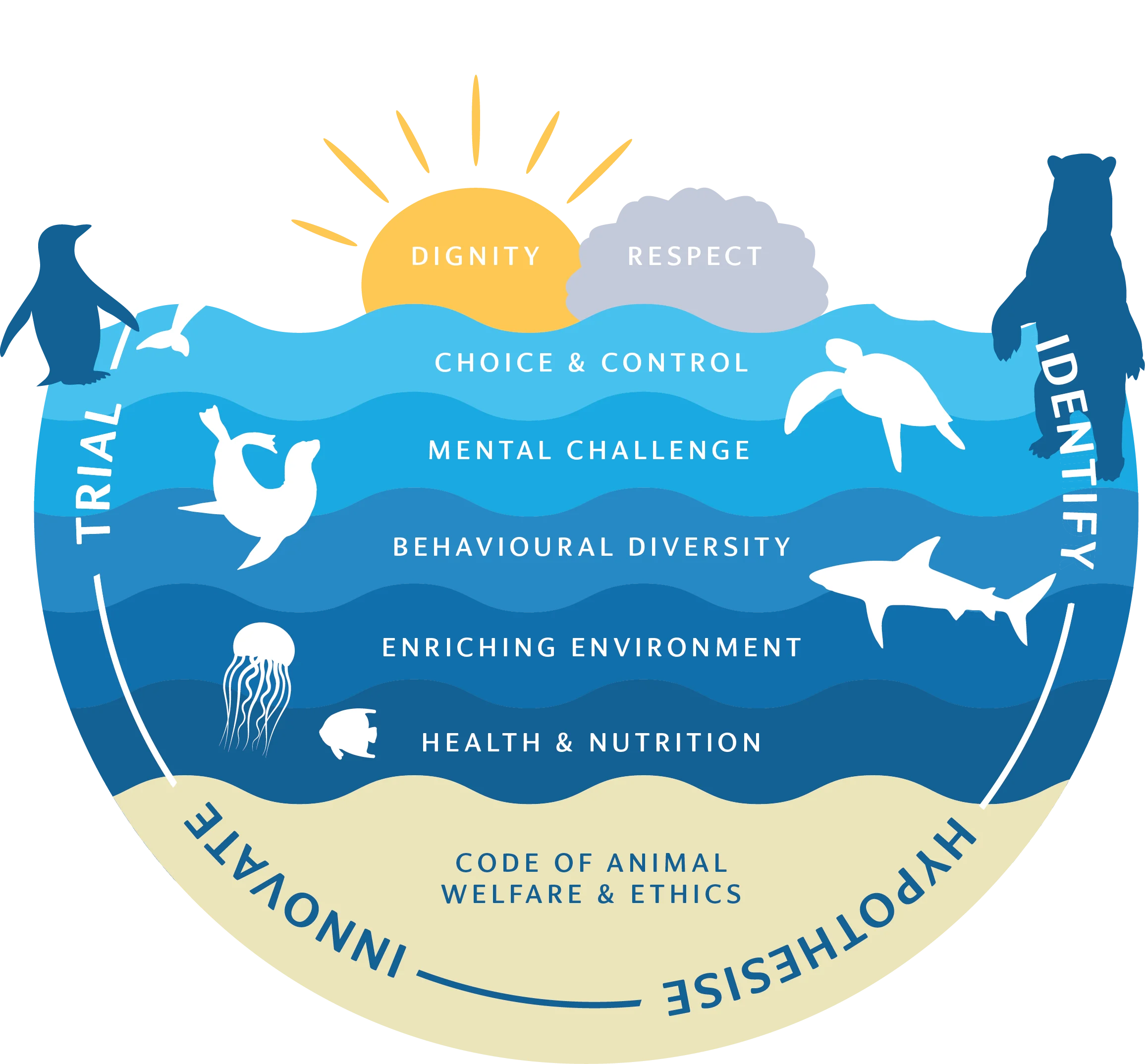 Illustration of an ocean with animals and sun rays showing layers: Dignity, Respect, Choice & Control, Mental Challenge, Behavioural Diversity, Enriching Environment, Health & Nutrition. Surrounding words: Trial, Innovate, Hypothesise, Identify.