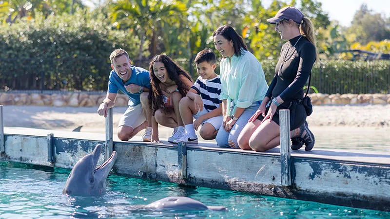 Family Rescue Ranger at SeaWorld