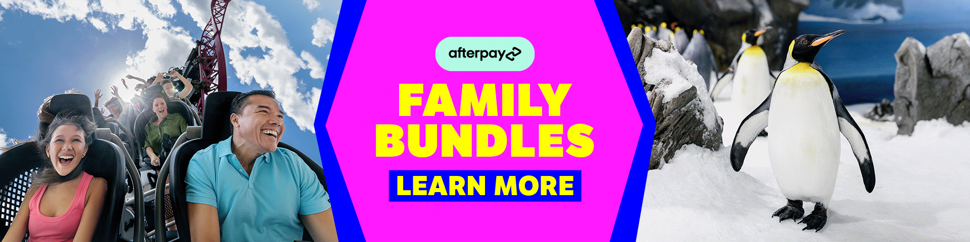 Banner showing excited people on a roller coaster, a group of penguins, and bold text in the center reading "FAMILY BUNDLES" with the Afterpay logo underneath.