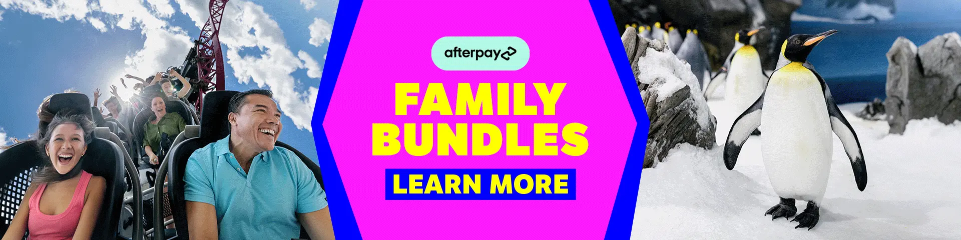 Banner showing excited people on a roller coaster, a group of penguins, and bold text in the center reading "FAMILY BUNDLES" with the Afterpay logo underneath.