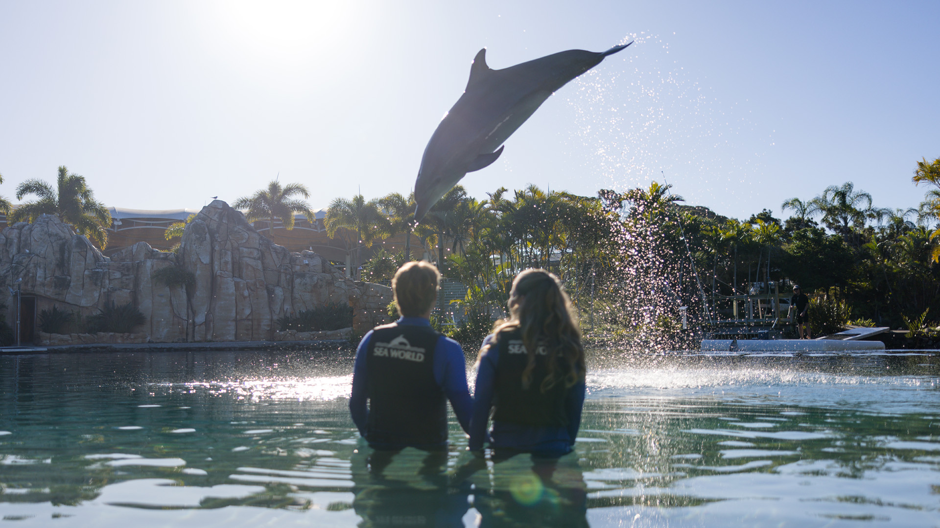 Two people in wetsuits sit in shallow water watching a dolphin leap high into the air at a marine park on a sunny day.