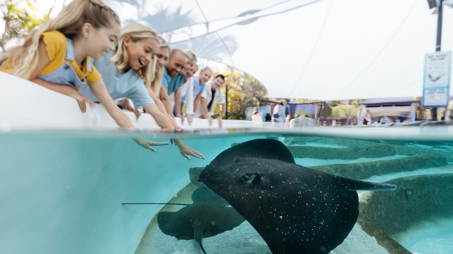 A group of people at an aquarium lean over a tank, reaching out to touch a large stingray swimming close to the surface.