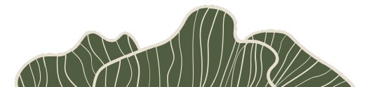 Illustration of overlapping green abstract wave shapes with white vein-like lines.