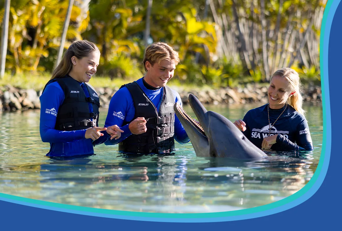Three people wearing life vests and blue shirts interact with a dolphin in shallow water surrounded by greenery.