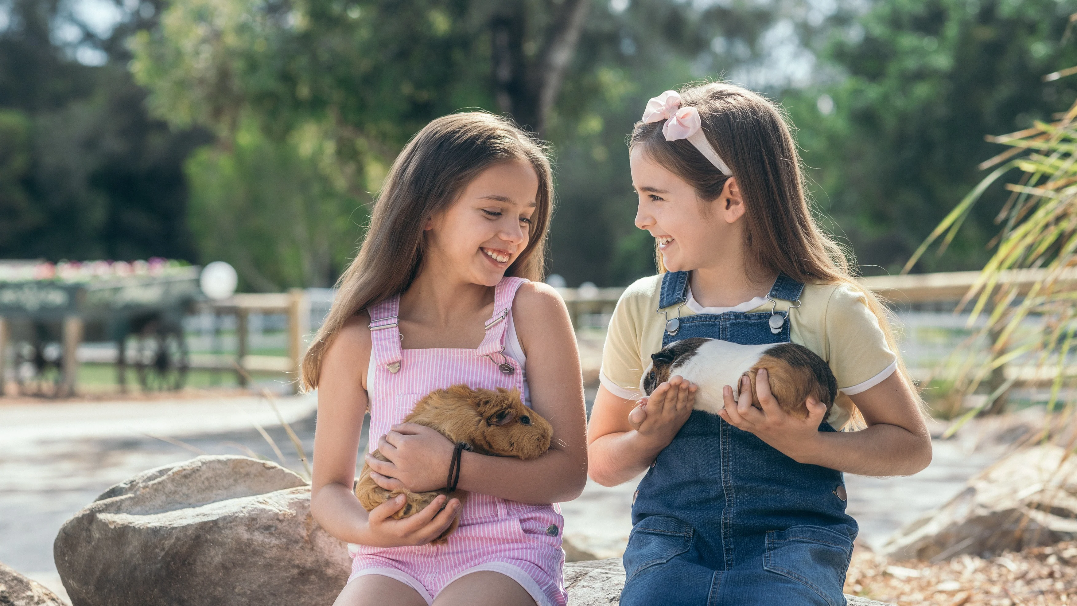 Paradise Country - Animal Nursery & Walkthrough