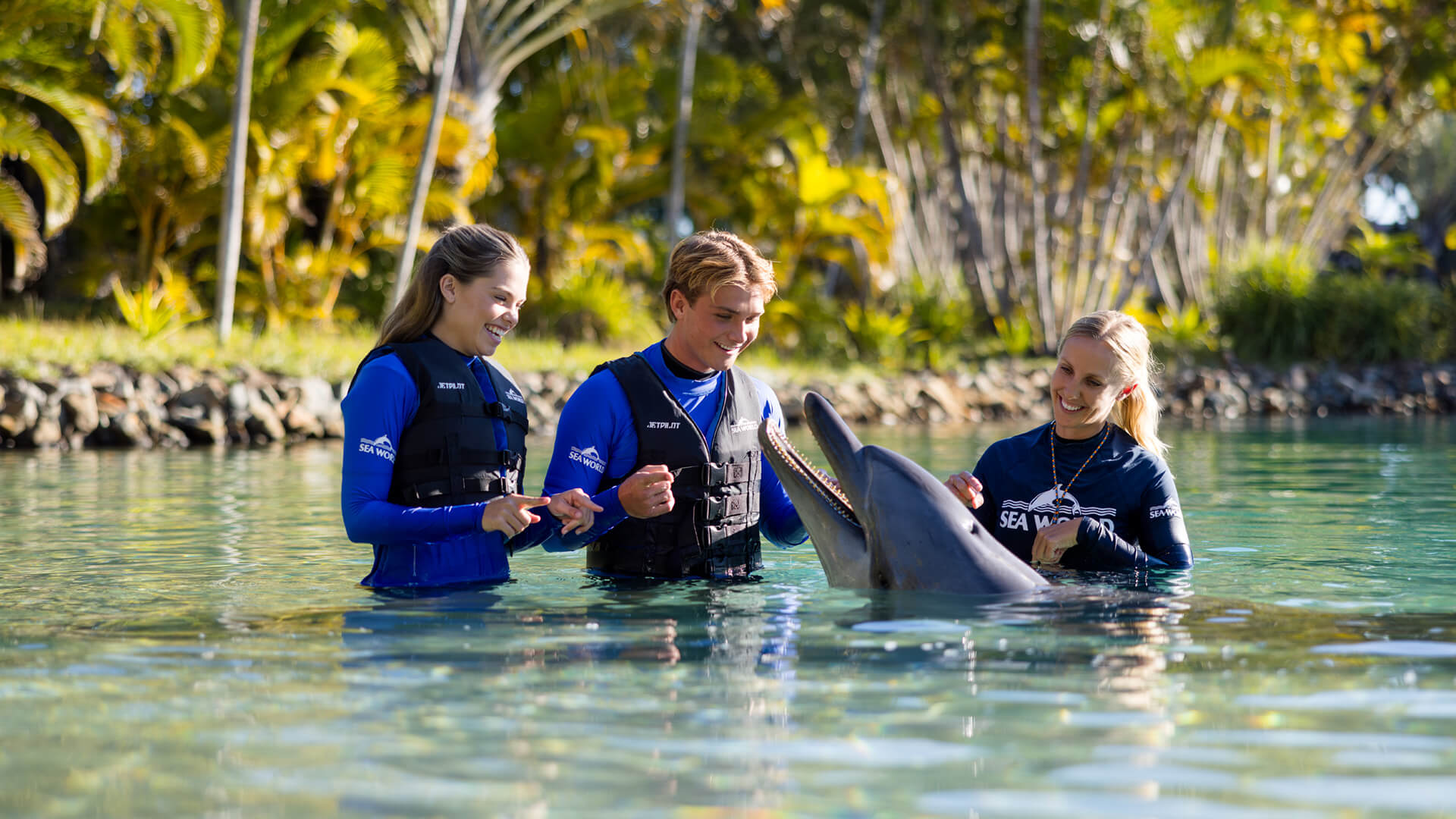 Three people in blue wetsuits stand in shallow water interacting with a dolphin near a tropical shoreline with trees in the background.