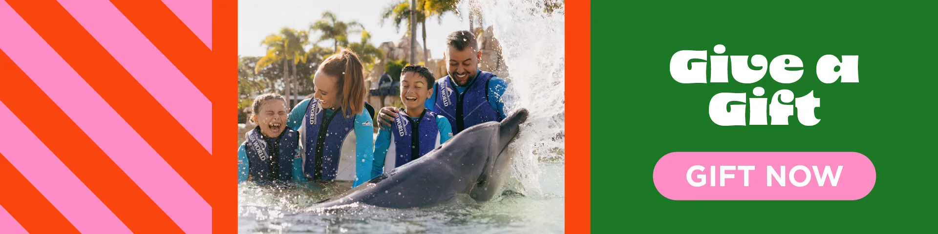 A family smiles while interacting with a dolphin in the water. Next to the photo, text reads “Give a Gift” and “GIFT NOW” on a green and pink background.
